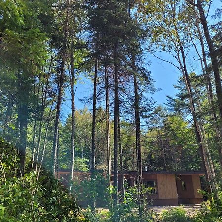 Nomi Community Hotell Harcourt Eksteriør bilde